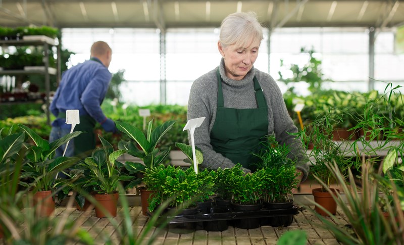 Minijob: Auswirkungen Bei Schwankendem Verdienst